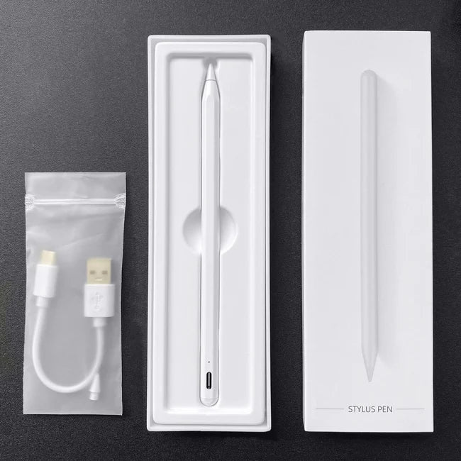 WiWU Pencil Pro per iPad Palm Rejection Touch Screen capacitivo - Luffy5